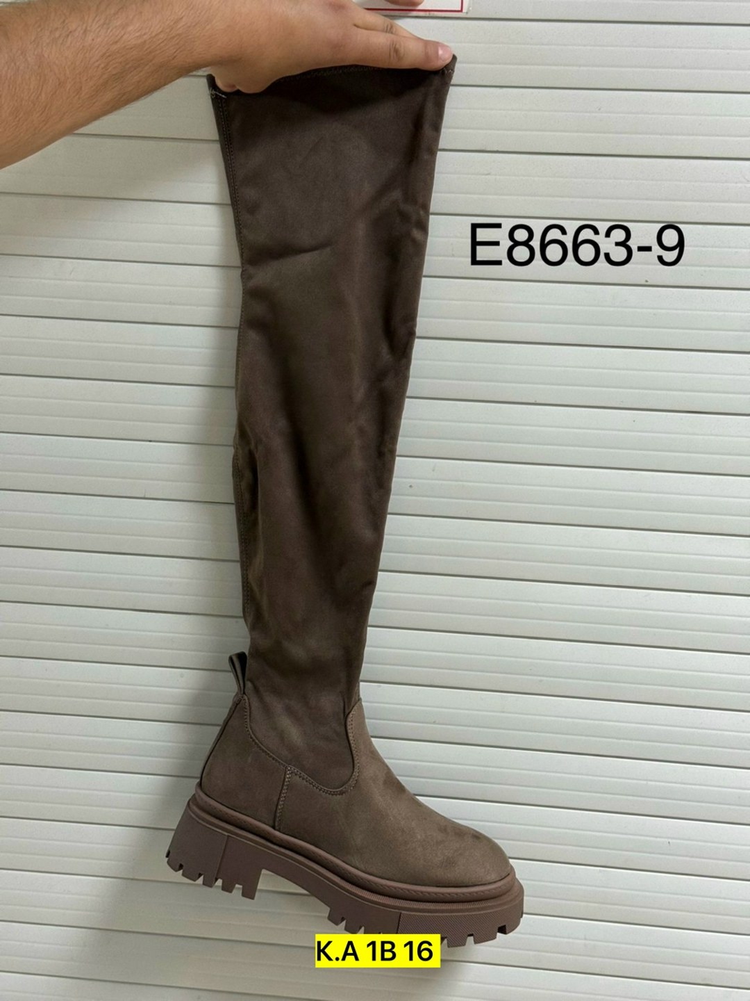 ,женские сапоги,женские ботфорты,сапоги ботфорты, женская