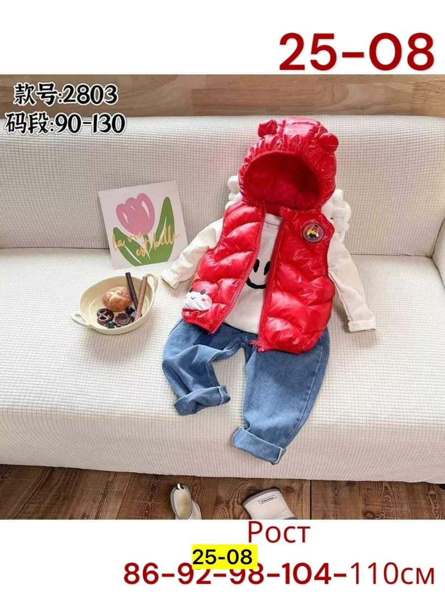 жилет для малыша,жилет детский утепленный демисезонный,детский жилет,жилетка детская демисезонная,жилетка детская