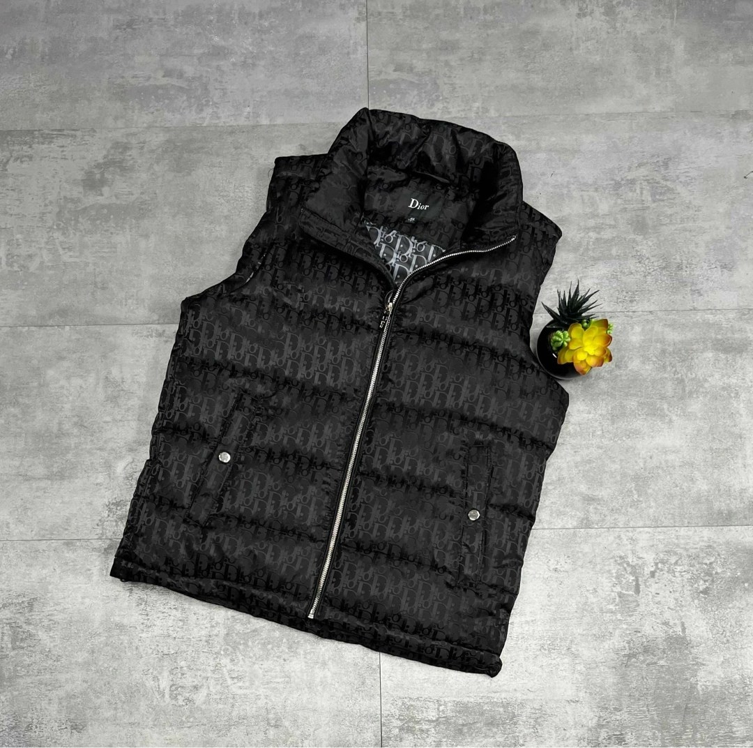жилетка безрукавка,жилетка мужская,жилетка dior,жилетка диор,одежда жилет