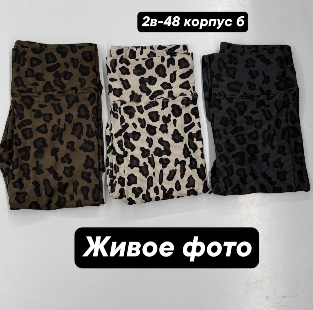 велосипедки женские,велосипедки спортивные с высокой посадкой,велосипедки с высокой посадкой,велосипедки женские короткие,шорты женские леопардовые