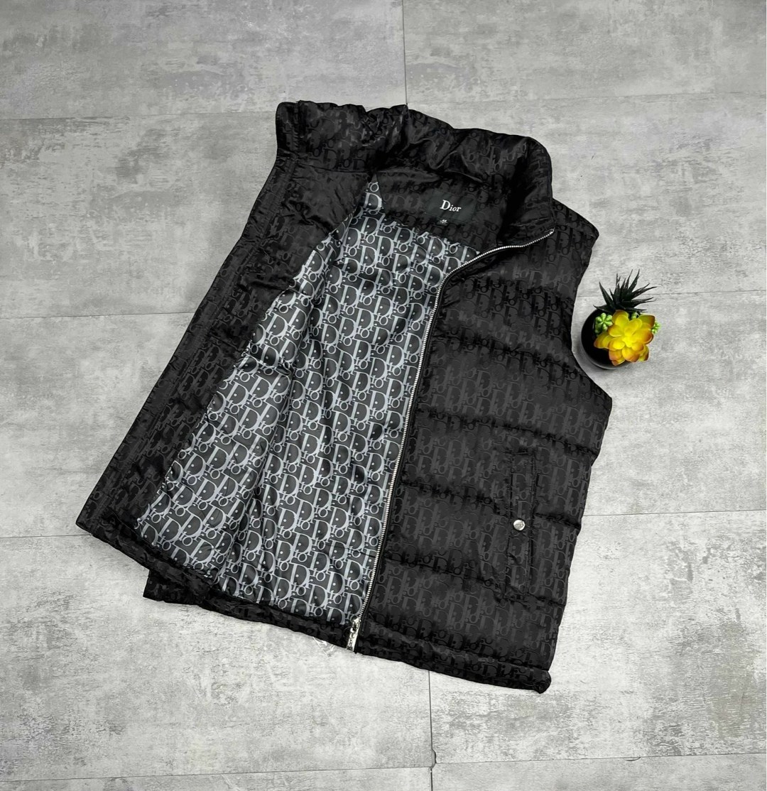 жилетка безрукавка,жилетка мужская,жилетка dior,жилетка диор,одежда жилет