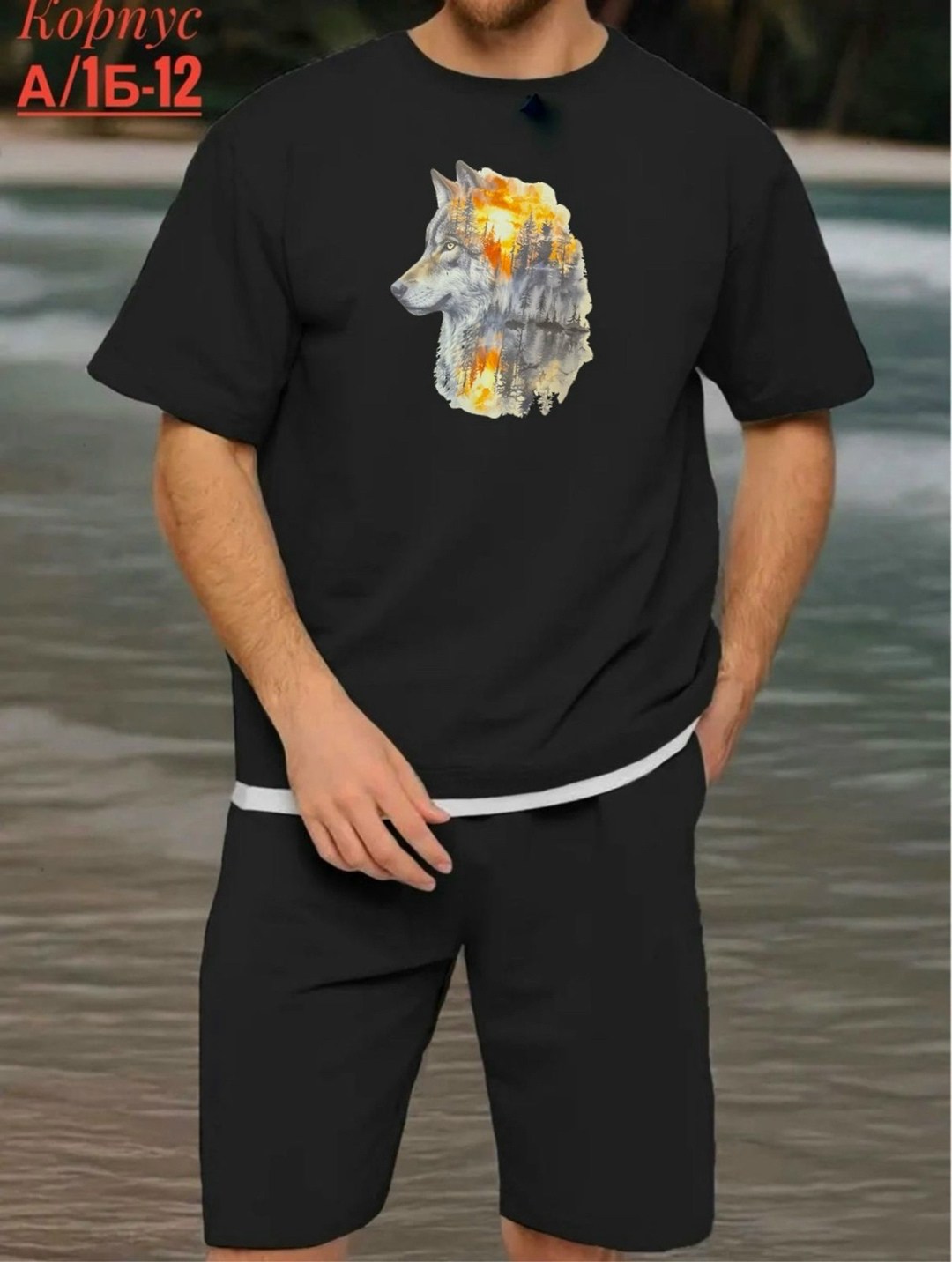 костюм летний с шортами и футболкой,костюмы летние с шортами,костюмы для мужчин,мужской костюм с шортами,костюмы спортивные мужские