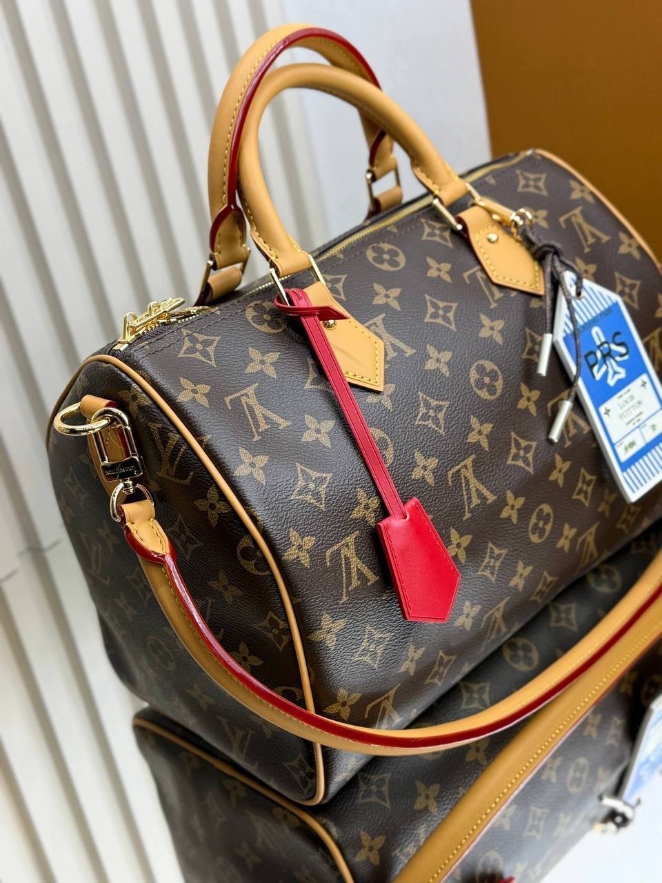 louis vuitton speedy,louis vuitton сумки,сумка бочонок луи виттон,louis vuitton женская сумка,louis vuitton сумка на плечо