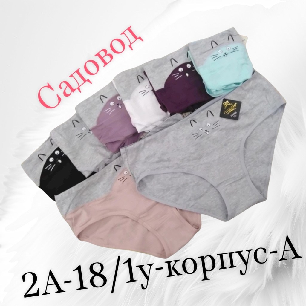 трусы женские 5 шт,трусы оптом,женская трусы,трусы женски,трусы женские хлопок