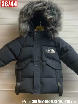 Верхняя одежда