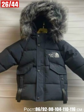 Верхняя одежда