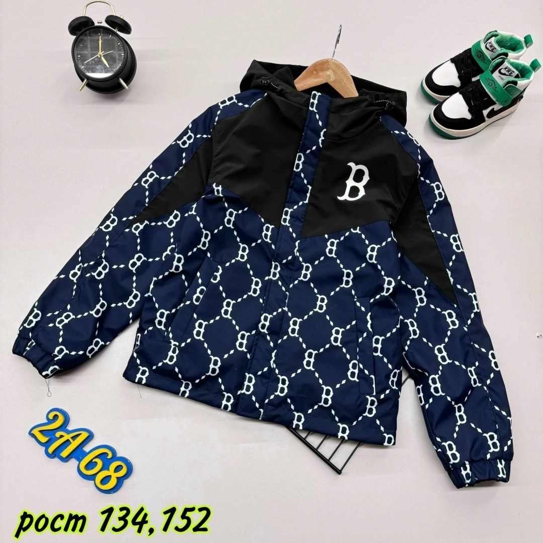 куртка для мальчика,куртка,повседневная куртка,демисезонная куртка,куртка детская