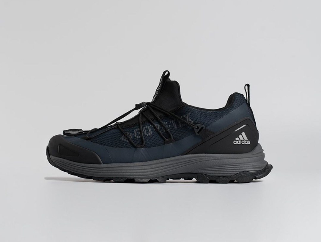 кроссовки,кроссовки adidas terrex two boa,кроссовки adidas terrex,кроссовки для трейлраннинга,кроссовки мужские adidas