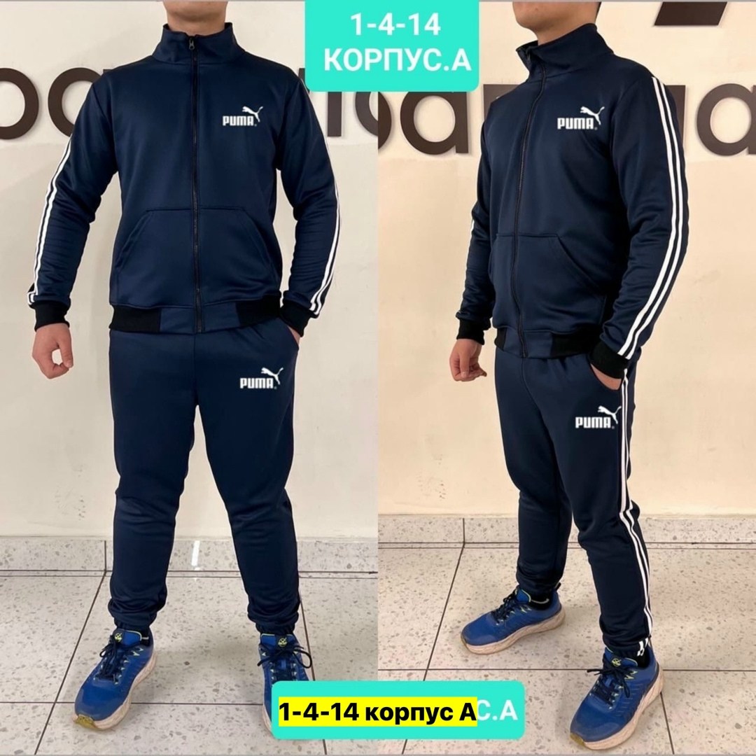 спортивные мужские костюмы,спортивный костюм мужской puma,спортивные костюм,спортивный костюм мужской эластик,костюм мужской puma