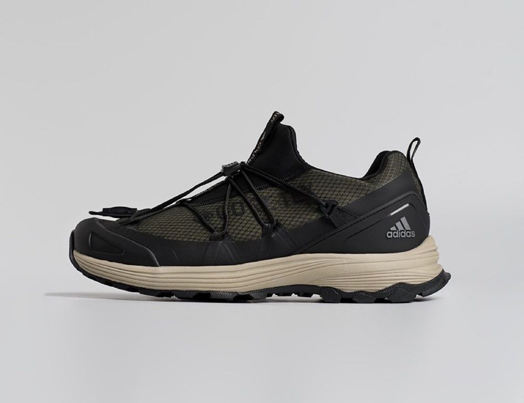 кроссовки,кроссовки adidas terrex two boa,кроссовки adidas terrex,кроссовки для трейлраннинга,кроссовки мужские adidas