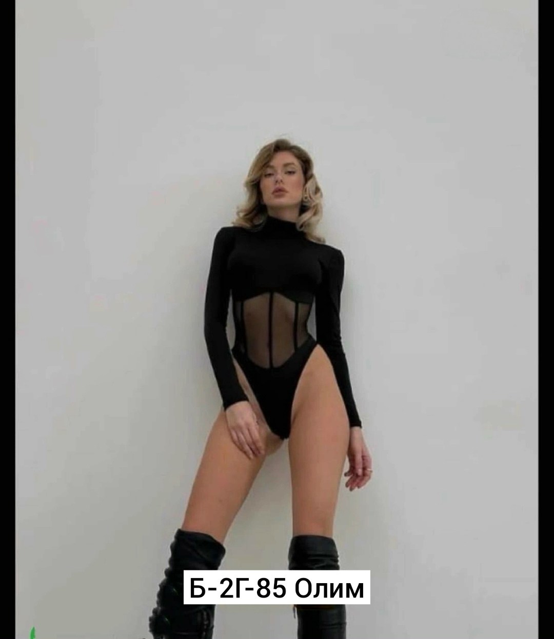 боди сетка,женская боди,боди с длинными рукавами,боди женский с длинным рукавом,боди женское с рукавами сетка