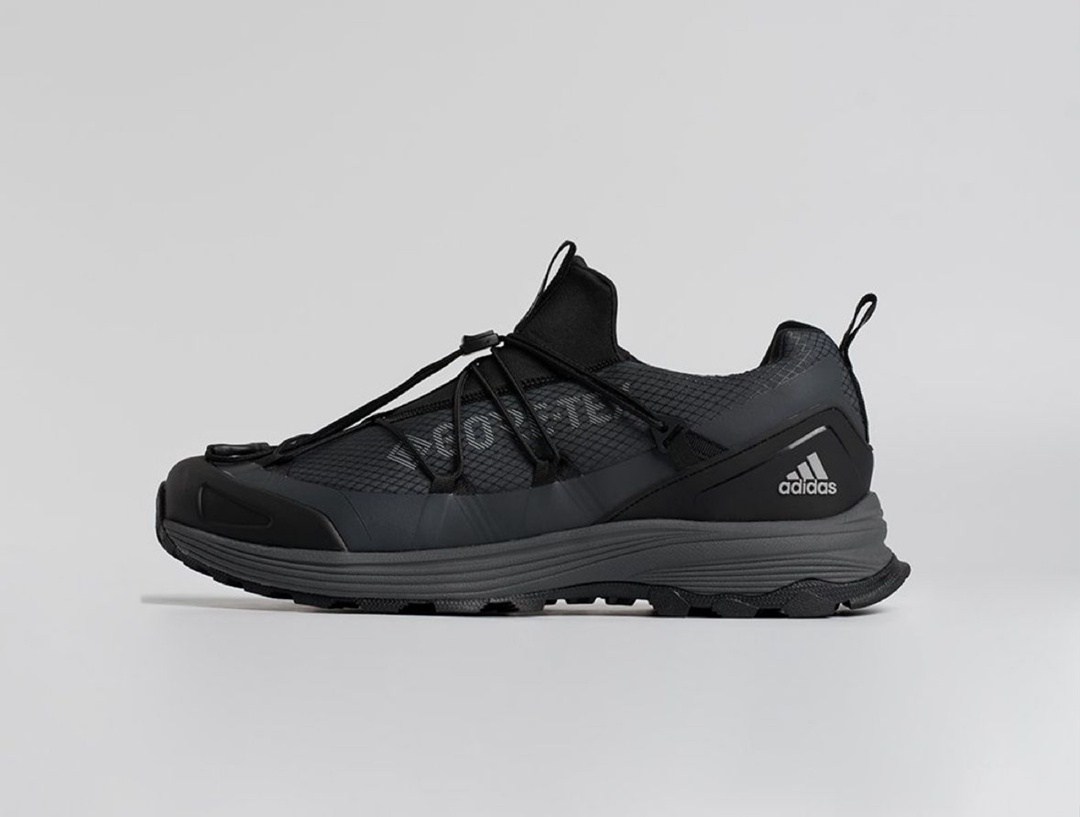 кроссовки,кроссовки adidas terrex two boa,кроссовки adidas terrex,кроссовки для трейлраннинга,кроссовки мужские adidas