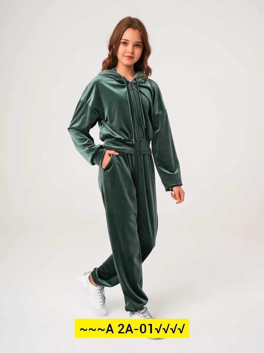 велюровый костюм,спортивный велюровый костюм,костюм велюровый женский,спортивный женский велюровый костюм,велюровый костюм двойка