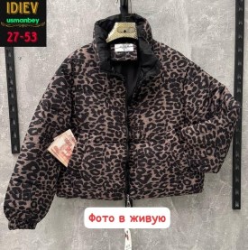 Верхняя одежда