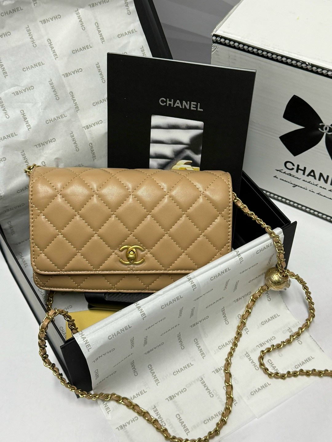 женские сумки chanel,chanel сумка,сумка chanel сумка chanel,сумочка chanel,сумка chanel натуральная кожа