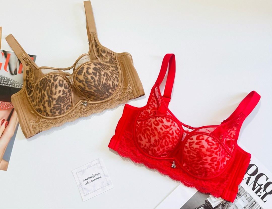 кружевной бюстгальтер нижнее белье,нижнее белье бюстгальтер,женский кружевной бюстгальтер,бюстгальтер,женская нижнее белье