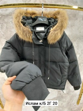 Верхняя одежда