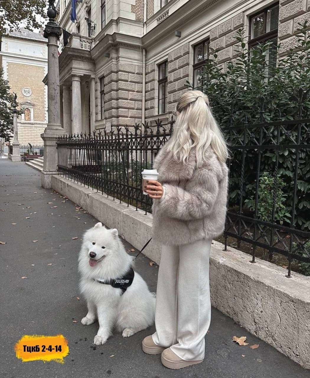 белая шуба,шуба стиль,шубка,шуба искусственная,шуба короткая