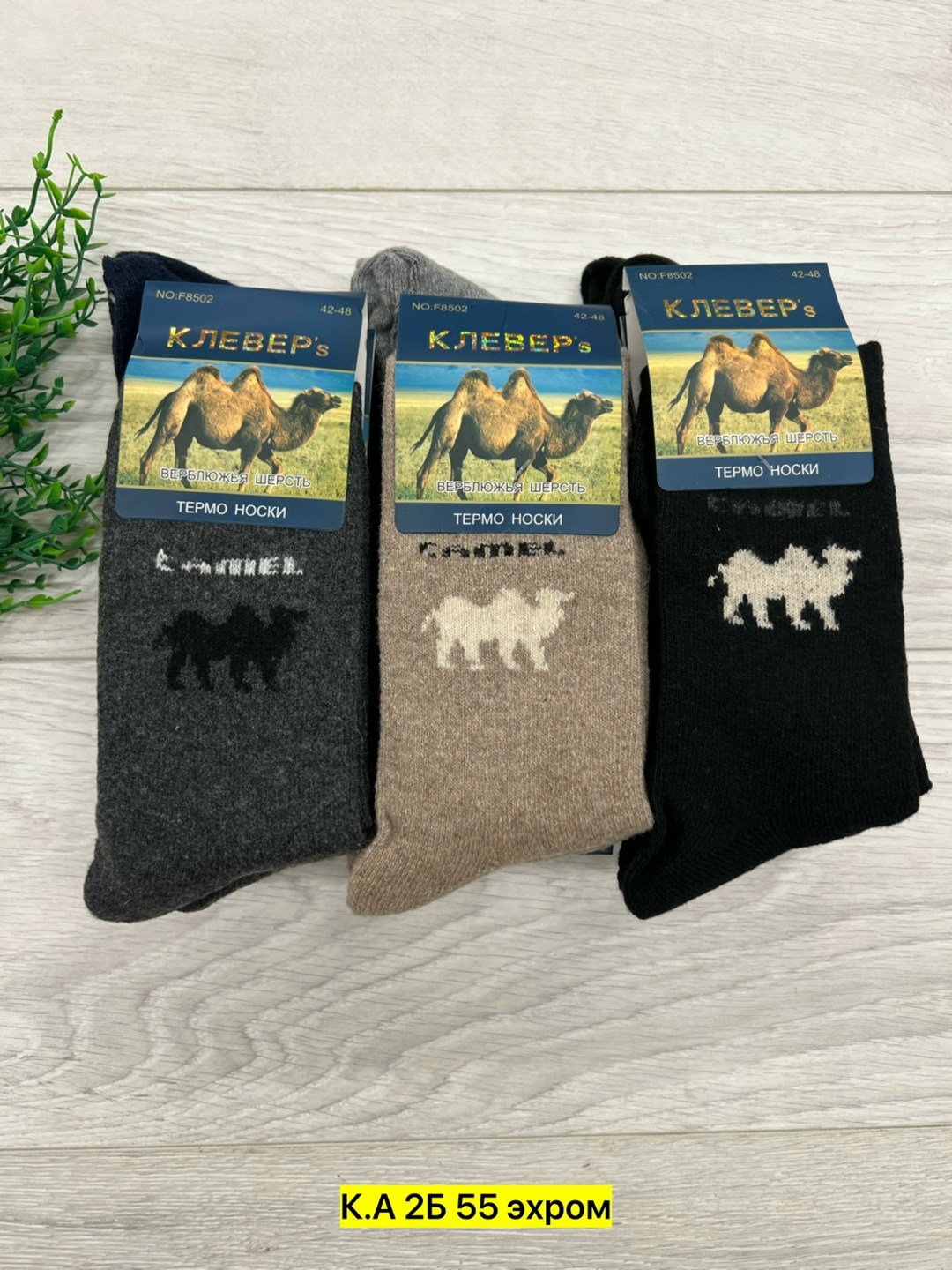 носки мужские,носки термо,носки мужские шерстяные,носки береза верблюжья шерсть,носки мужские по 12 пар