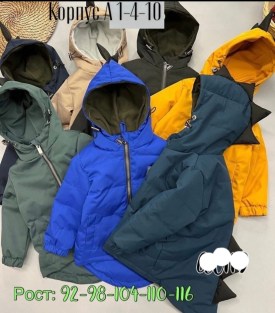 Верхняя одежда