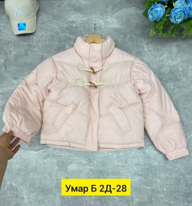 Верхняя одежда