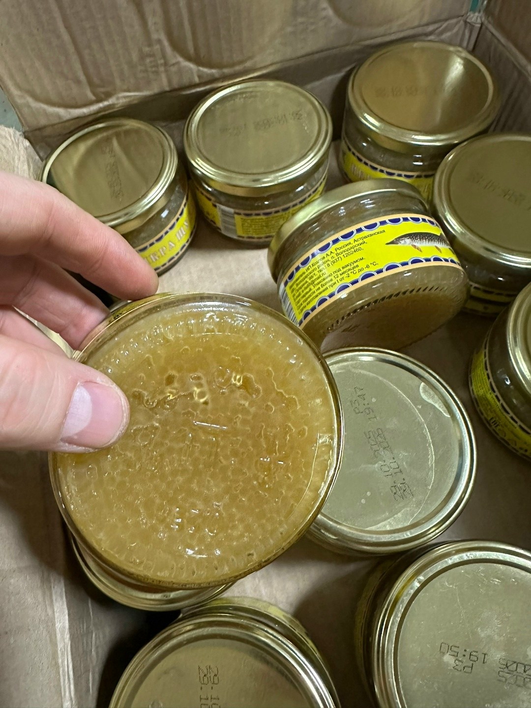 икра щучья,икра щуки,икра щуки 220 грамм,банка икры,икра щуки астраханская