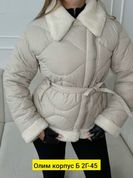 Верхняя одежда