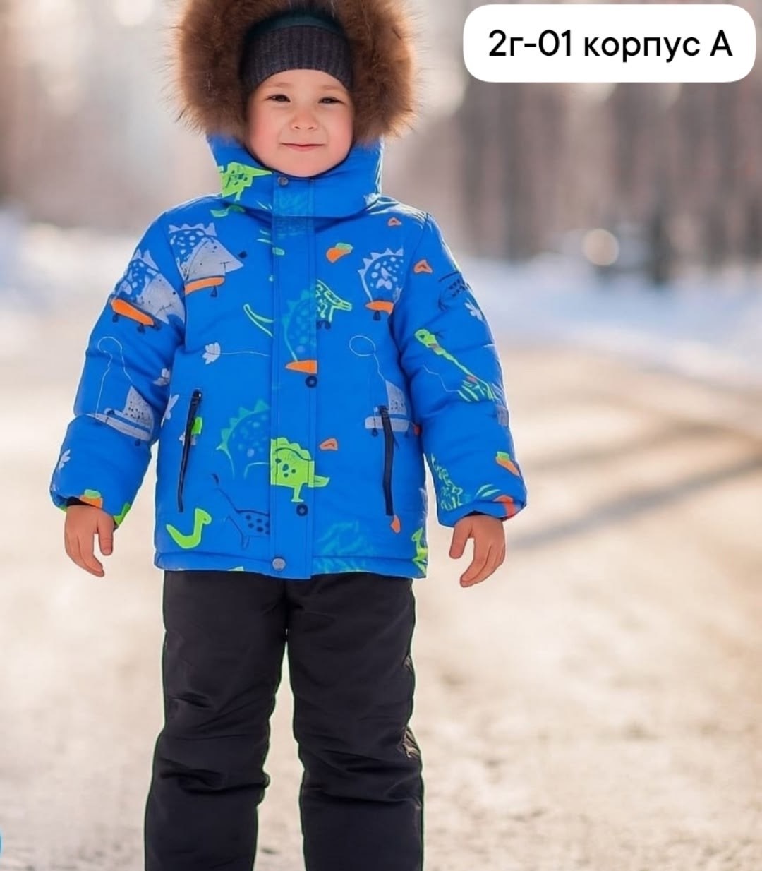 зимний костюм,зимний костюм на мальчика,зимний комплект для мальчика,зимний костюм premont для мальчика,детский зимний костюм