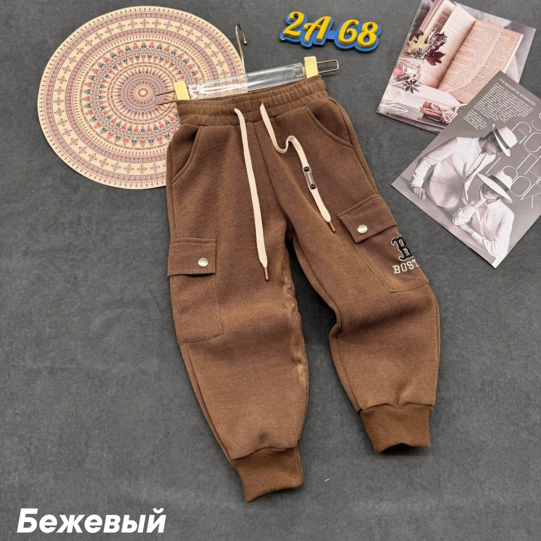 спортивные брюки,штаны теплые,штаны модные,модные брюки,мужские брюки