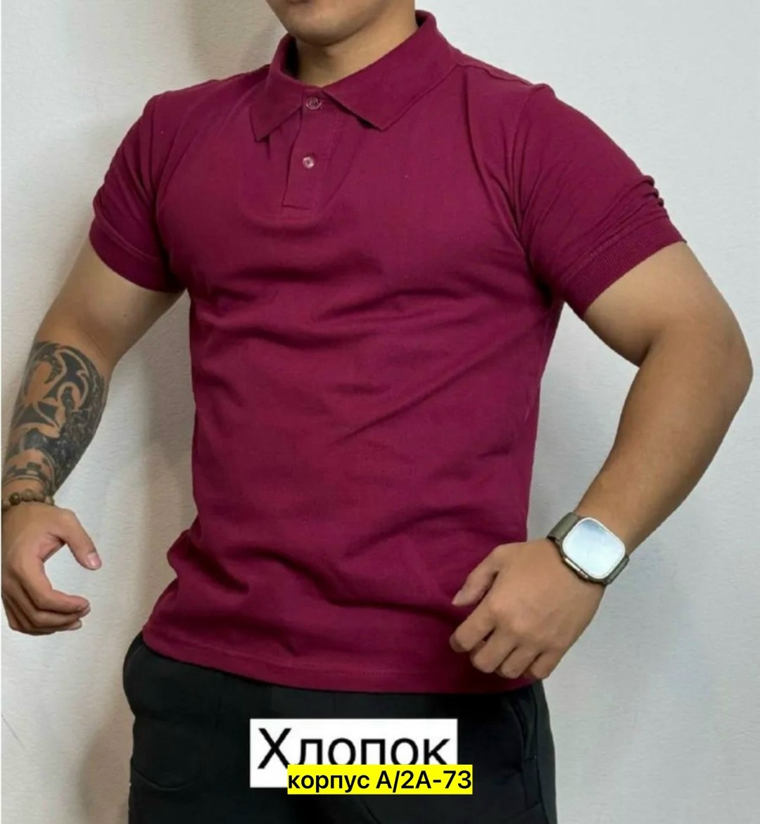 футболка поло мужская,футболка поло,мужские поло,футболки для мужчин,мужская футболка