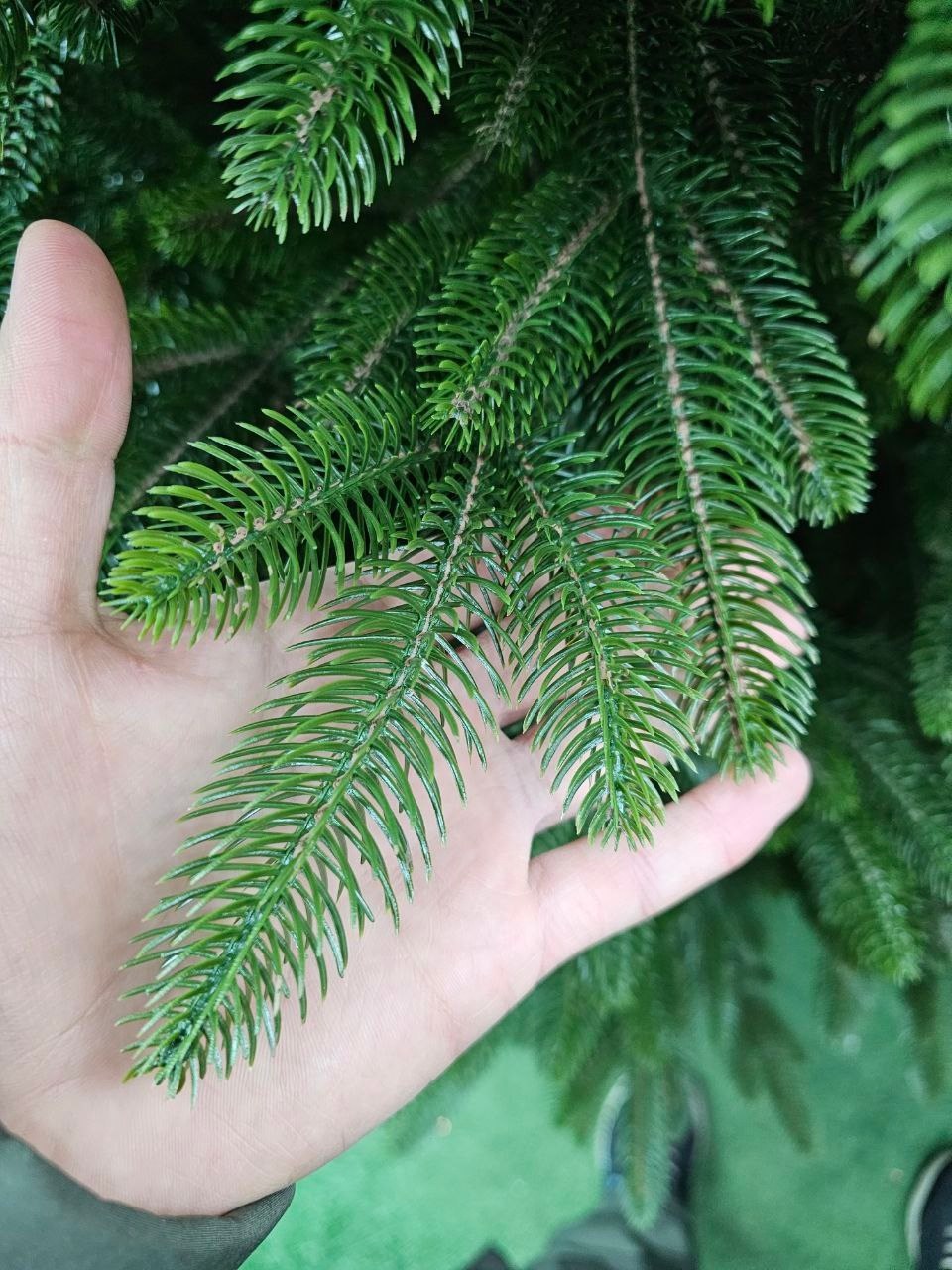 ель искусственная,елка искусственная,ёлка искусственная литая,литая ель,елка литая