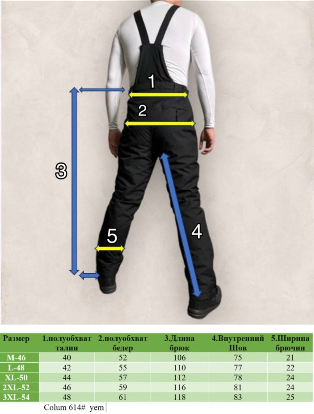 брюки горнолыжные,брюки горнолыжные мужские,брюки горнолыжные columbia,icepeak штаны горнолыжные мужские,брюки мужские горнолыжные штаны зимние