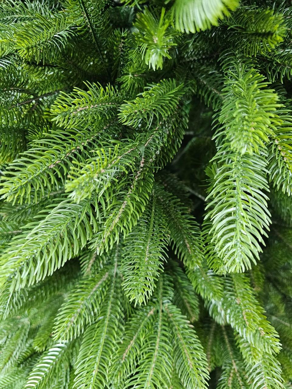 ель искусственная,елка искусственная,ёлка искусственная литая,литая ель,елка литая