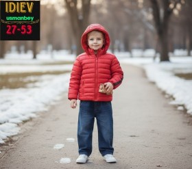 Верхняя одежда