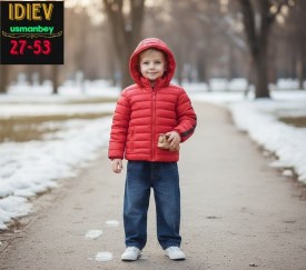 Верхняя одежда