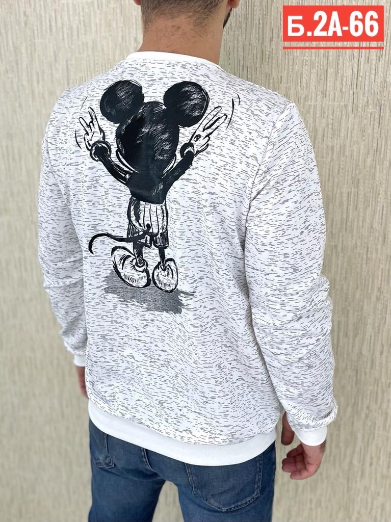 толстовка мужская свитшот мужской,свитшот мужская,мужские свитшоты,мужская кофта,толстовки для мужчин