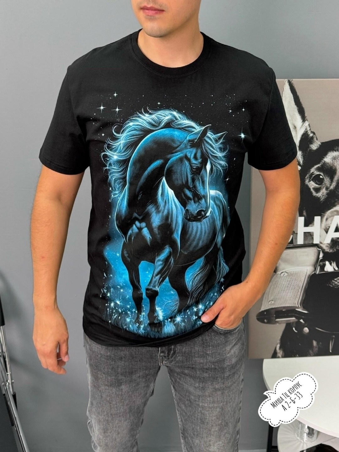 мужская футболка,футболке,футболка с рисунком,футболка с принтом,мужская футболки с принтом