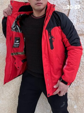 Верхняя одежда