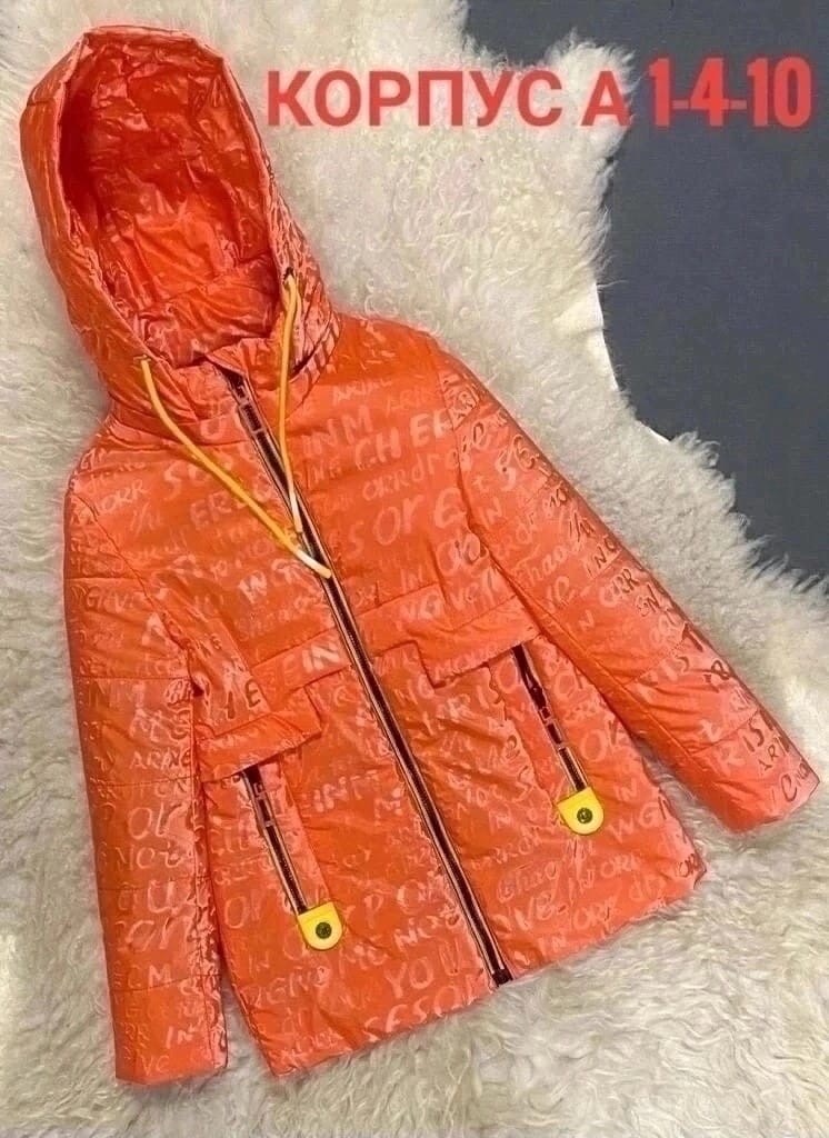 куртка демисезонная,куртка,куртка детская,куртка детская демисезонная,куртка детский