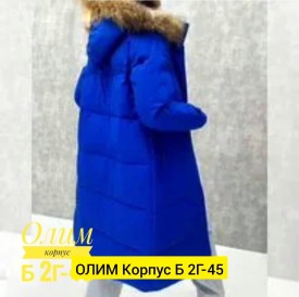 Верхняя одежда