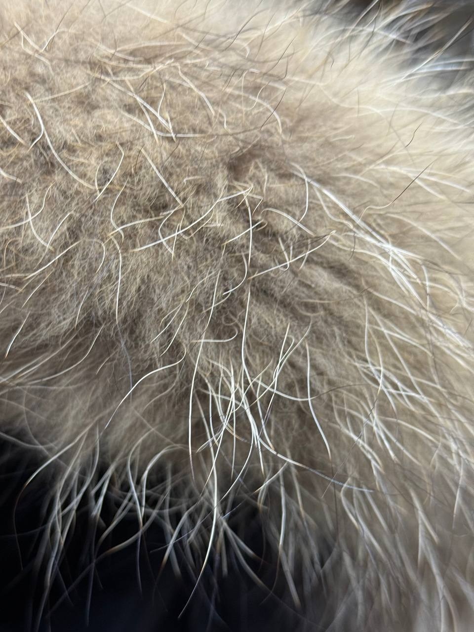 куртка air jordan essentials puffer,пуховик jordan essential,пуховик jordan essential puffer jacket black,пуховик найк джордан мужской,jordan essential puffer jacket