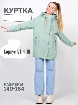 Верхняя одежда