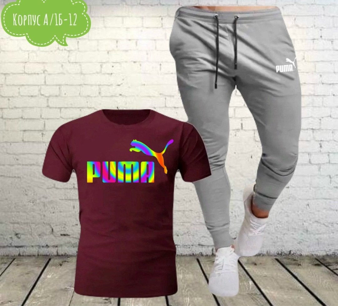 костюмы спортивные мужские,костюм мужской puma,костюмы спортивные для мальчика,спортивные костюмы,костюмы мужские