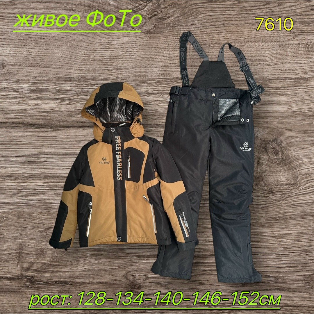 зимний костюм для мальчика,лыжные костюмы,костюмы горнолыжные,костюм демисезонный,горнолыжный костюм для мальчик