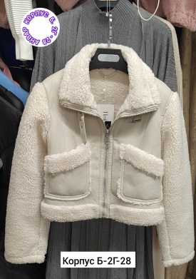 Верхняя одежда