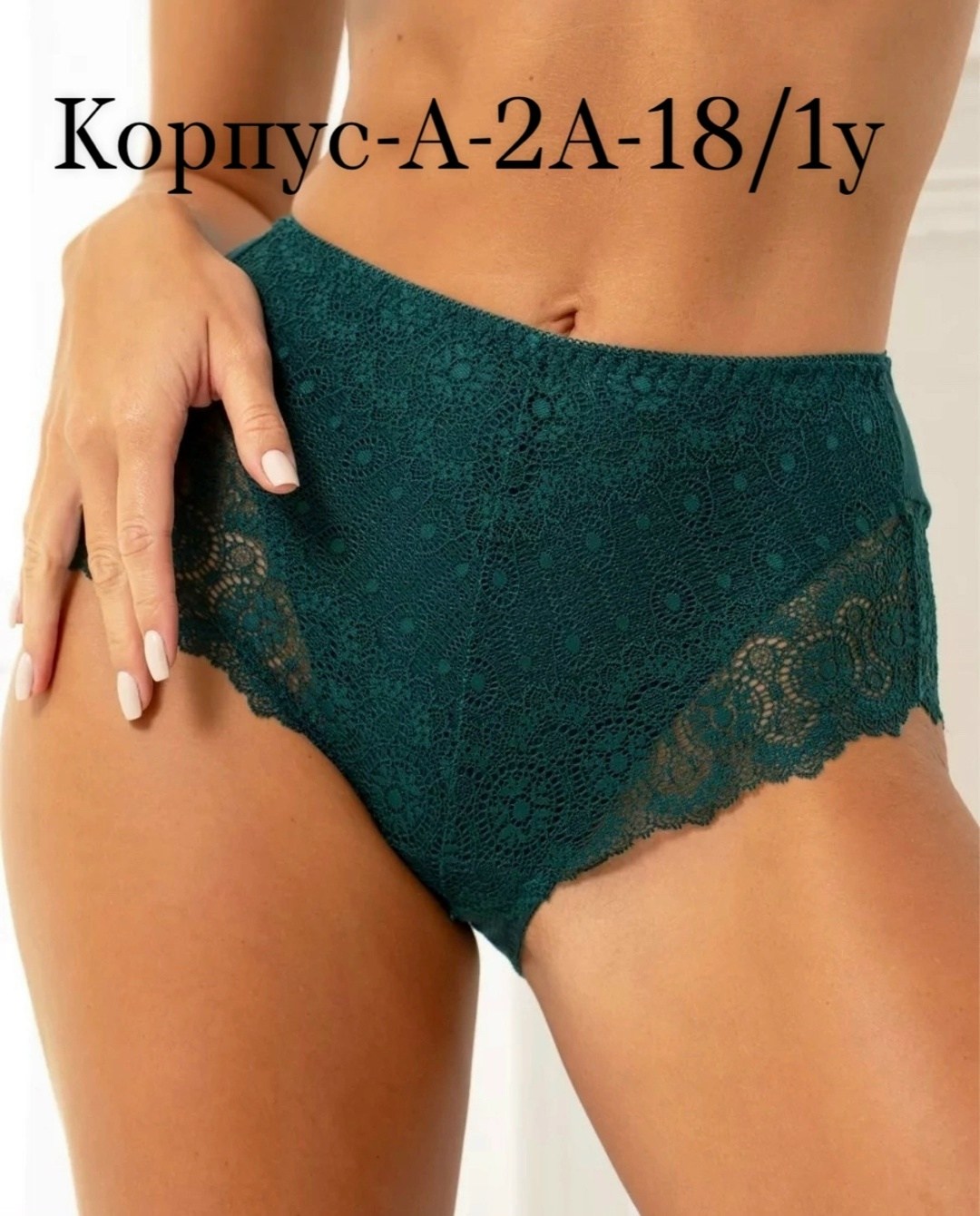 трусы для женщин,женские трусы кружевные,трусики с кружевами,кружевное трусы,трусы больших размеров кружевные