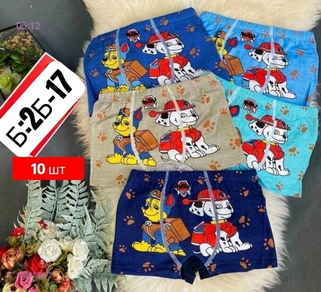 детские трусы для мальчика,трусы для мальчика,трусы детские 10 шт,трусы для мальчика 5 шт,детские трусы