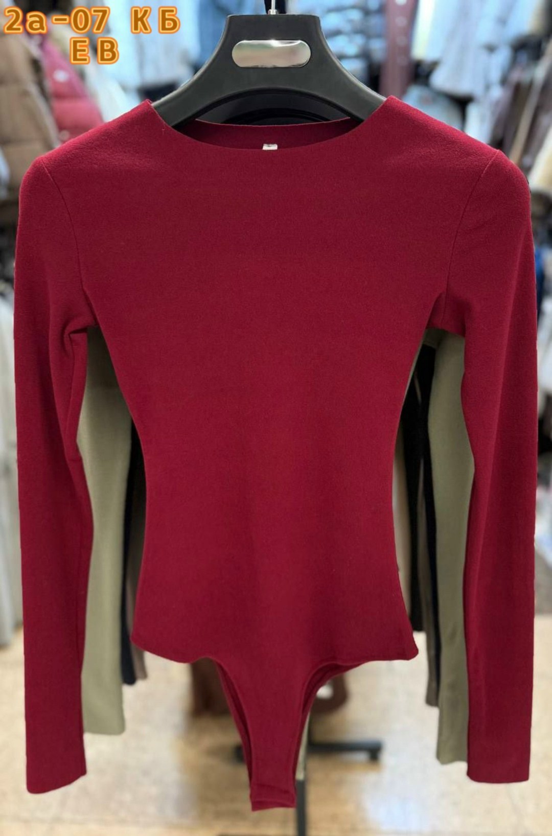 женские боди,боди для женщин,боди с длинными рукавами,трикотажное боди,боди с длинным рукавом женский