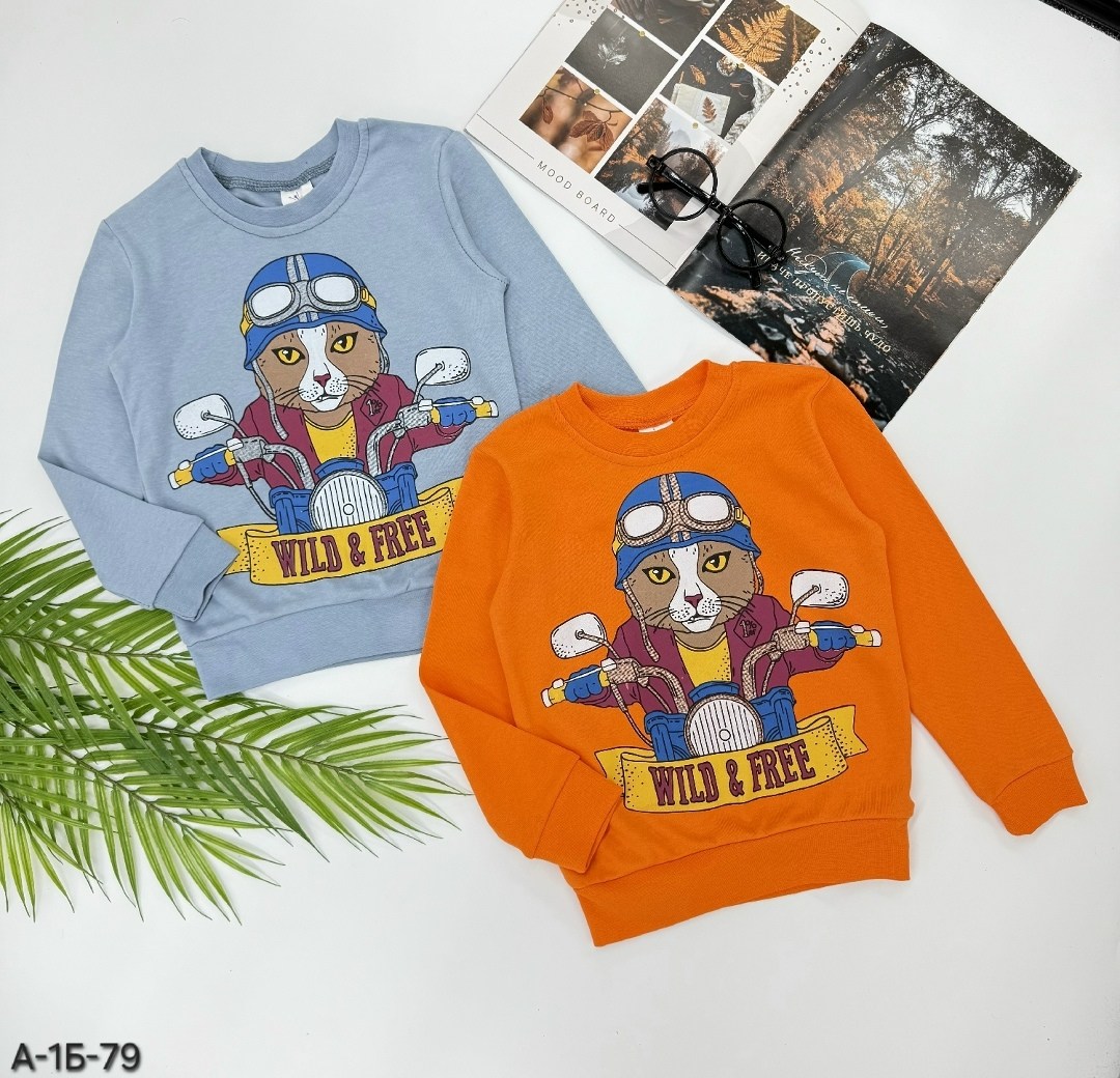 кофта для мальчика,cвитшот для мальчика,джемпер для мальчика,детский джемпер,детская кофта