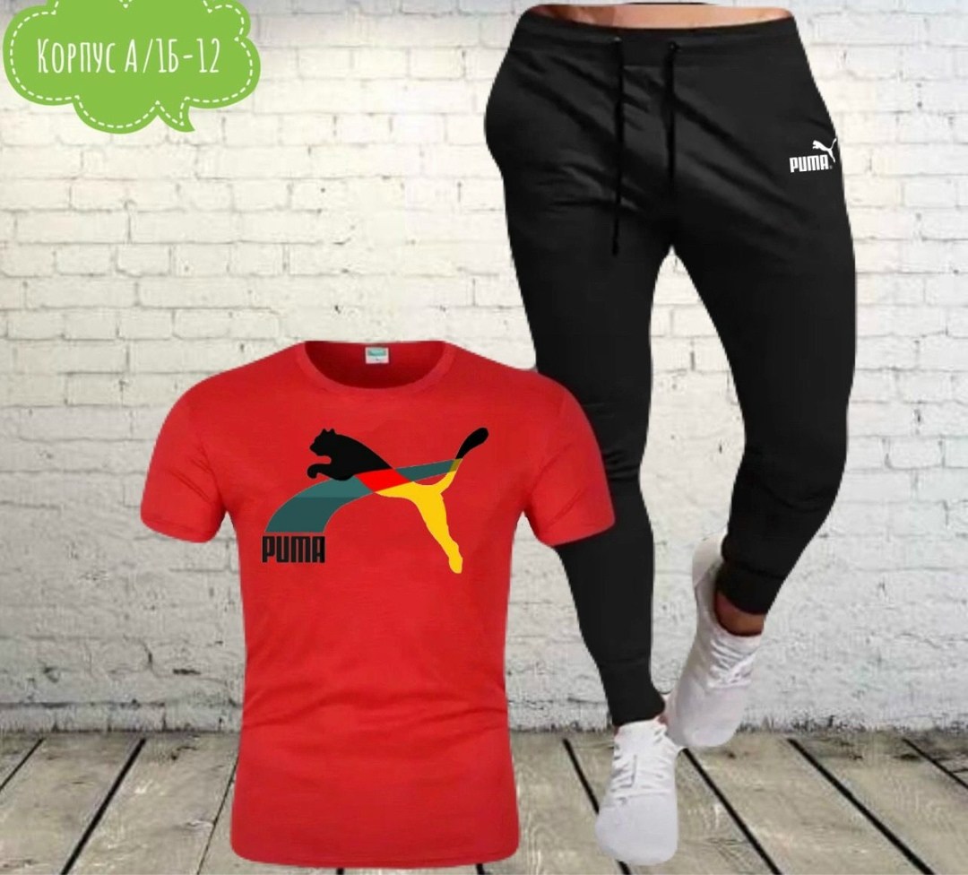 костюмы спортивные мужские,костюм мужской puma,костюмы спортивные для мальчика,спортивные костюмы,мужской повседневный спортивный костюм